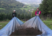 Arbeitseinsatz1