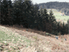 Startplatz