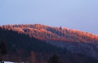 Nikolaus2017